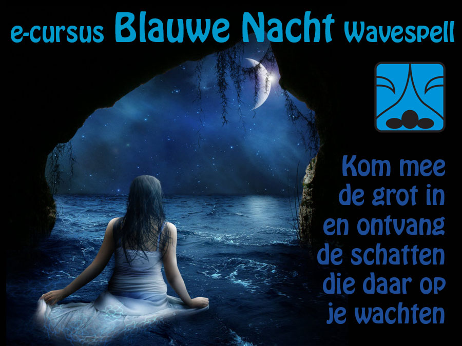 e-cursus-nacht2017