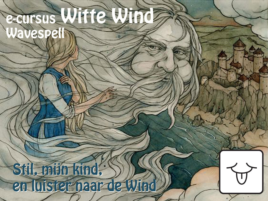 e-cursuswind2017