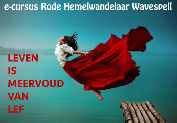 hemelwandelaar-wavespell_groot
